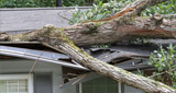 Emergency roof repair